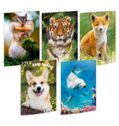 Gummizugmappe 45030, A3 farbig sortiert Karton 500g, mit 3 Einschlagklappen