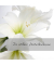 Trauerkarten wei&szlig;e Amaryllis DS006 11,5cm x 17cm (BxH) 220g stille Anteilnahme Amaryllis Motiv Karton, Kunststoff-kaschiert FSC