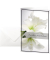 Trauerkarten wei&szlig;e Amaryllis DS006 11,5cm x 17cm (BxH) 220g stille Anteilnahme Amaryllis Motiv Karton, Kunststoff-kaschiert FSC