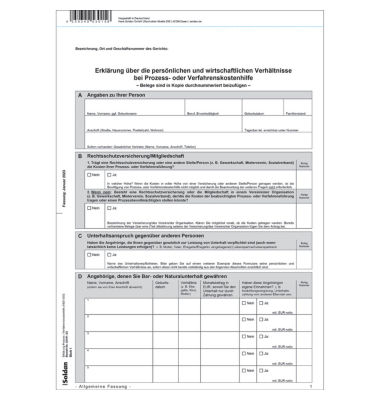 Fragebogen Prozess-Verfahrenskosten K430 50St