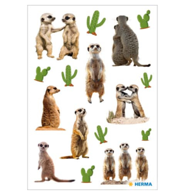 Schmucketikett Erdmännchen