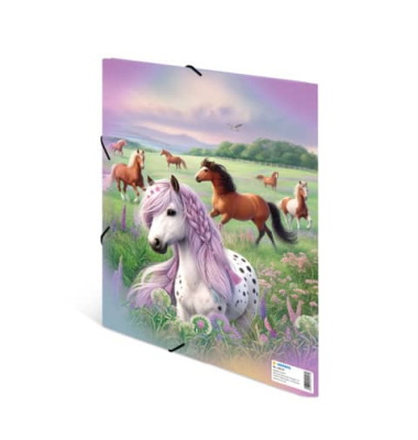 Sammelmappe 20117, A4 bunt, Karton