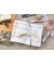 Textmarker swing cool NatureCOLORS, 275/4-09, Pack, 4-farbig sortiert, 1-4mm Keilspitze
