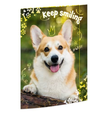 Gummizugmappe 45382, A3 bunt Karton 500g, mit 3 Einschlagklappen