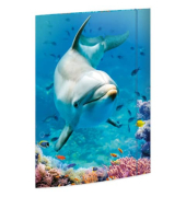 Gummizugmappe 45383, A3 bunt Karton 500g, mit 3 Einschlagklappen