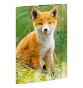 Gummizugmappe 45384, A3 bunt Karton 500g, mit 3 Einschlagklappen