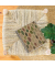 Collegeblock A293699 Eco Desgin 4 / liniert, A5, 80g, 