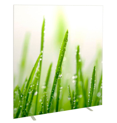 Trennwand easyScreen ES160014, Gräser bunt 160,0 x 173,2 cm