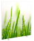 Trennwand easyScreen ES160014, Gräser bunt 160,0 x 173,2 cm