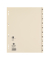 Trennblätter 400004664 chamois 200g Karton