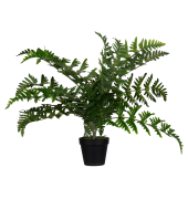 Kunstpflanze PAFOUG55 Farn 55cm