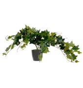 Kunstpflanze PALIER80 Efeu 80cm