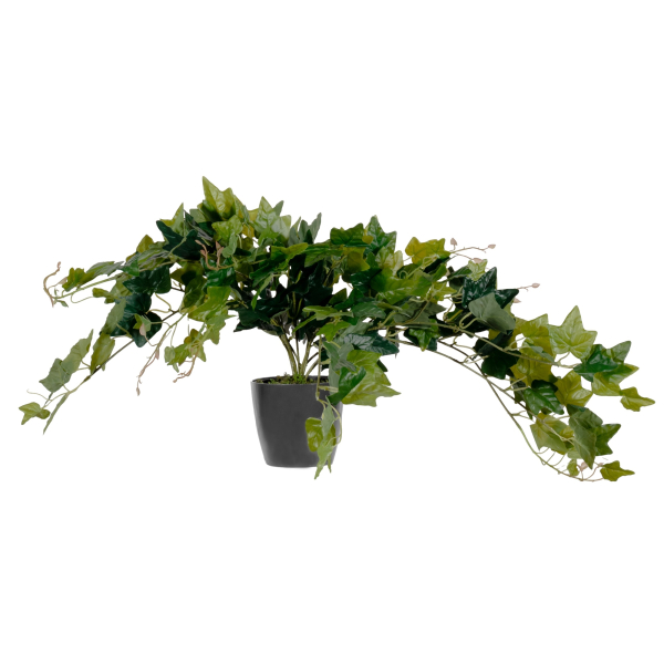 3660141963410 - Kunstpflanze meet® by Paperflow Efeu inkl Kunststoff-Topf H 800 mm PEVA