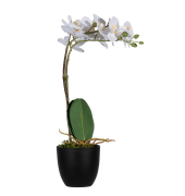 Kunstpflanze PAORCH40 Orchidee ws 40cm
