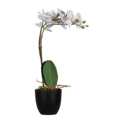 Kunstpflanze PAORCH40 Orchidee ws 40cm