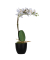 Kunstpflanze PAORCH40 Orchidee ws 40cm