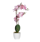 Kunstpflanze PAORCH50 Orchidee ro 40cm