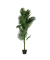 Kunstpflanze PAPALM160 Palme 160cm