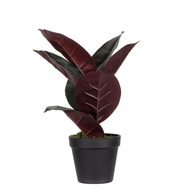 Kunstpflanze PAFICE36 Gummibaum 36cm