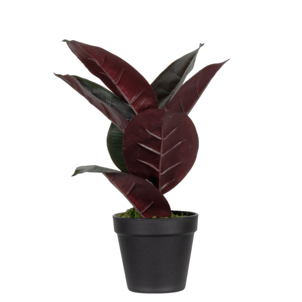 3660141963472 - Kunstpflanze meet® by Paperflow Gummibaum inkl Kunststoff-Topf H 360 mm PEVA