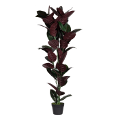 Kunstpflanze PAFICE120 Gummibaum 120cm