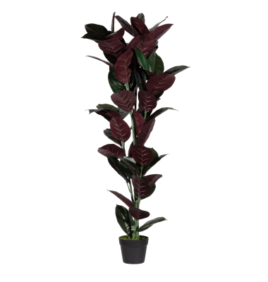 Kunstpflanze PAFICE120 Gummibaum 120cm