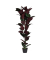 Kunstpflanze PAFICE120 Gummibaum 120cm