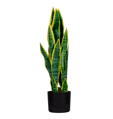 Kunstpflanze PASAN65 Sansevieria 65cm