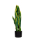 Kunstpflanze PASAN65 Sansevieria 65cm