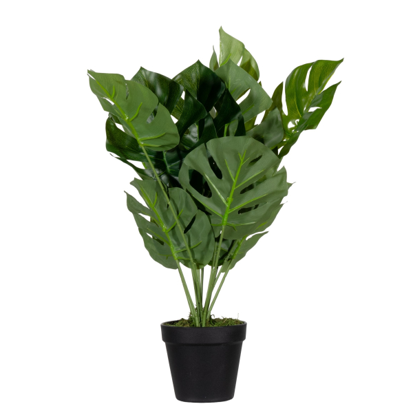 3660141963502 - Kunstpflanze meet® by Paperflow Monstera inkl Kunststoff-Topf H 450 mm PEVA