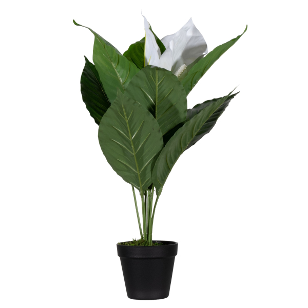 3660141963526 - Kunstpflanze PALUNE55 Einblatt 55cm 3660141963526 PAPERFLOW