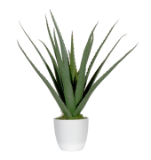 Kunstpflanze PAALOE45 Aloe Vera 45cm