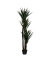 Kunstpflanze PAYUC150 Yucca 150cm