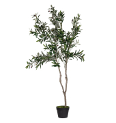 Kunstpflanze PAOLI155 Olivenbaum 155cm