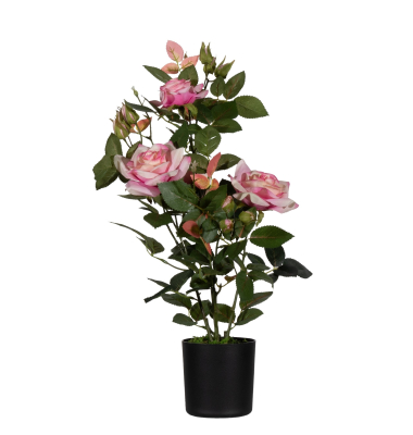 Kunstpflanze PARROS54 Rosenstock ro 54cm