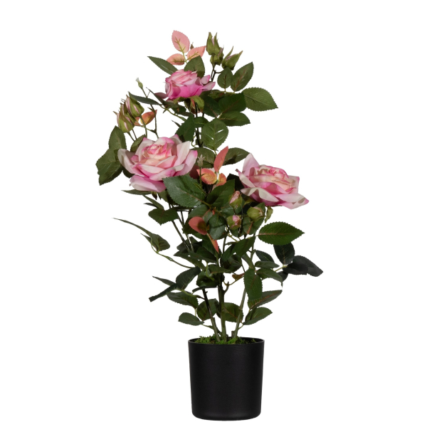 3660141963588 - Kunstpflanze PARROS54 Rosenstock ro 54cm 3660141963588 PAPERFLOW