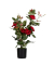 Kunstpflanze PARROU54 Rosenstock rt 54cm