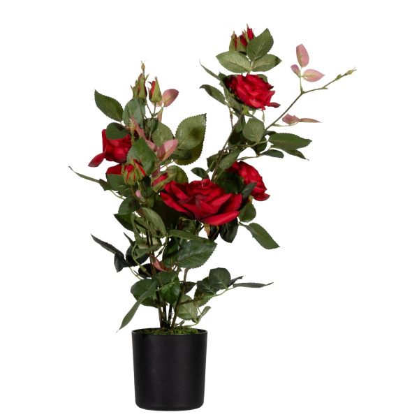 3660141963595 - Kunstpflanze PARROU54 Rosenstock rt 54cm 3660141963595 PAPERFLOW