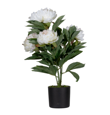 Kunstpflanze PAPIVB55 Pfingstrose ro 55cm