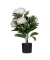 Kunstpflanze PAPIVB55 Pfingstrose ro 55cm