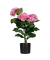 Kunstpflanze PAHORT55 Hortensie 55cm