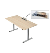 Schreibtisch Move Base plus, elektrisch höhenverstellbar, 73-123cm (H), 160x80cm (BxT), rechteckig, ahorn / silber