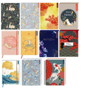 Notizbuch Set myNotes FJ25, farbig sortiert, sortiert