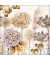 Motivserviette 25x25getrocknete Blumen