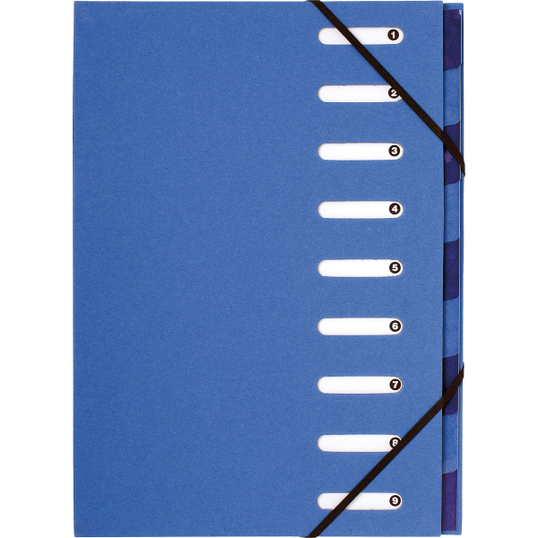 3130630529828 - Ordnungsmappe Forever 52982E 1-9 hellblau dunkelblau A4 9 Fächer 3130630529828 Exacompta