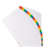 Kartonregister 1131E, 1 bis 31, A4, 160 g/m&sup2;, farbige Taben, 31-teilig