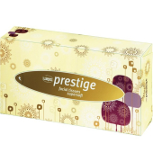 Kosmetikt&uuml;cher 205059, 2-lagig, 21x20,5cm