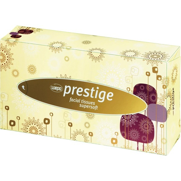 4000735133901 - Kosmetiktü 206035 2-lagig 200 x 200 mm (B x H) 100 Tücher 4000735133901 Satino 100 Stück