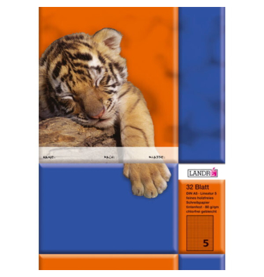 Schulheft 100059749, Lineatur 5 / kariert, A5, 80g, schwarz, 32 Blatt / 64 Seiten
