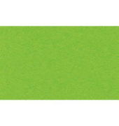 Buntkarton Bähr 1109652, 300g, 50x70cm, tropicgrün